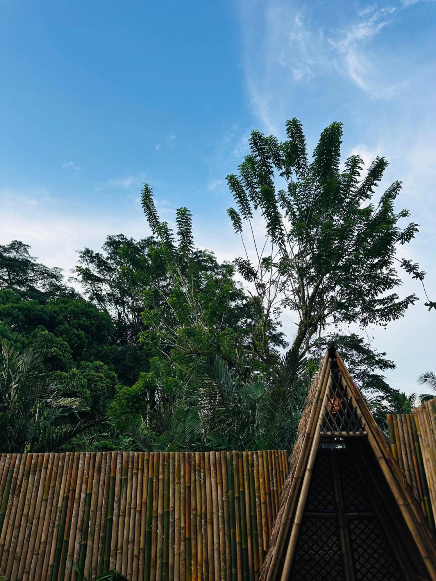 Bamboo House - Ecobreeze Villa Sidemen  Buitenkant foto